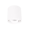 MAXLIGHT C0256 LAMPA SUFITOWA FIX 6W BIAŁA





